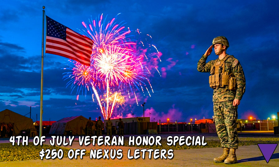 A soldier is standing in salute to the American Flag with Fireworks and caption, -